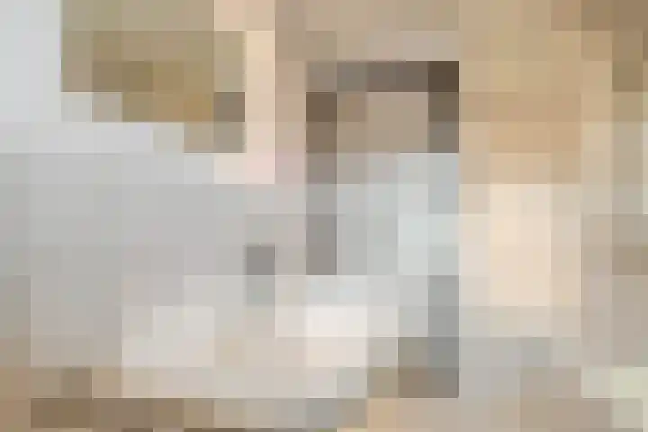 Brasemstraat 38 Tilburg thumbnail 17