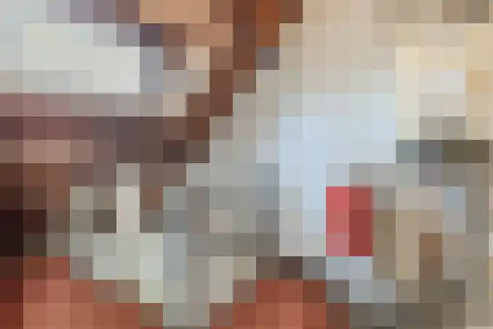 Brasemstraat 38 Tilburg thumbnail 18