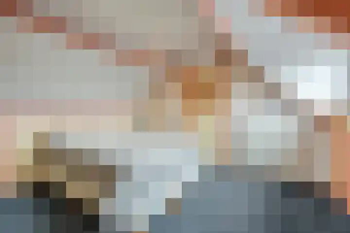 Brasemstraat 38 Tilburg thumbnail 19