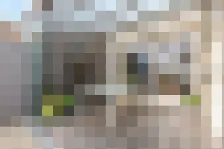 Brasemstraat 38 Tilburg thumbnail 23