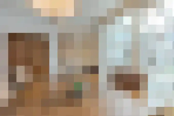 Brasemstraat 38 Tilburg thumbnail 5