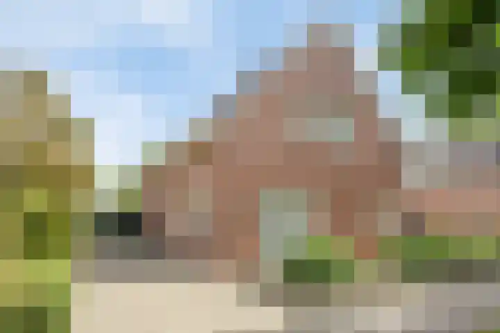 Braziliëlaan 15 Drunen