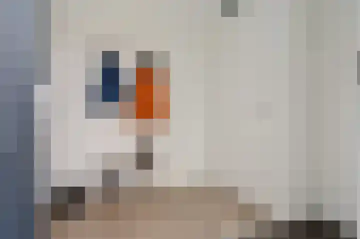 Breckelenkamp 15 Leusden thumbnail 10