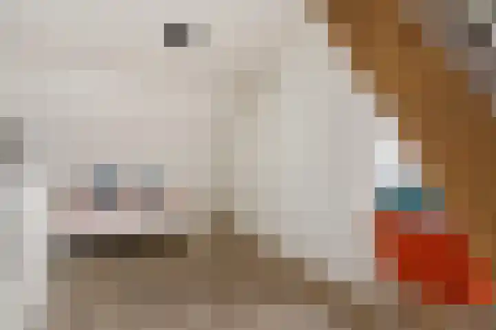 Breckelenkamp 15 Leusden thumbnail 22