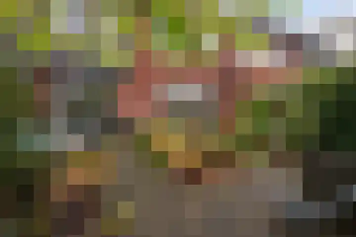 Breckelenkamp 15 Leusden thumbnail 27