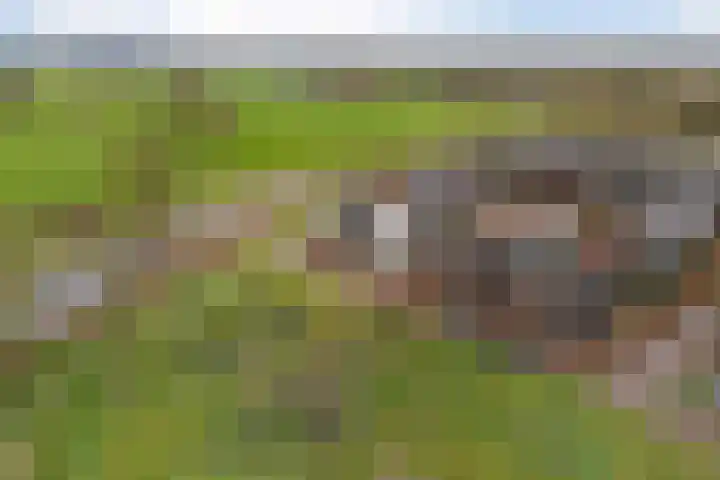 Breckelenkamp 15 Leusden thumbnail 32
