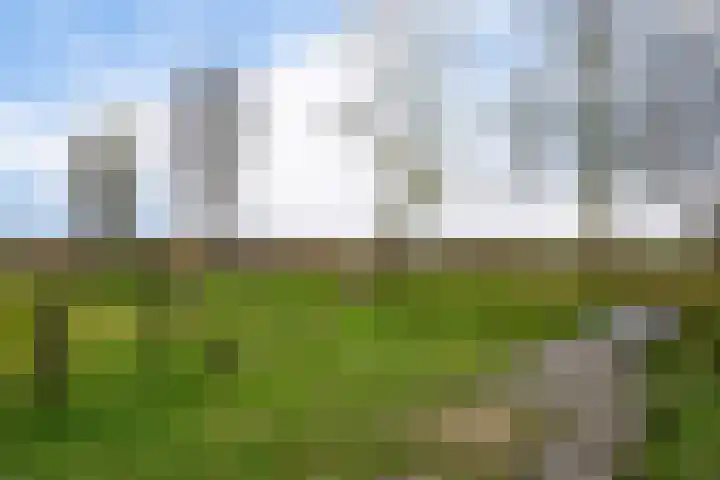 Breckelenkamp 15 Leusden thumbnail 33