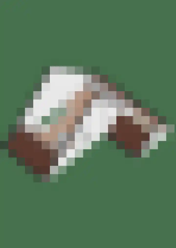 Breckelenkamp 15 Leusden thumbnail 43
