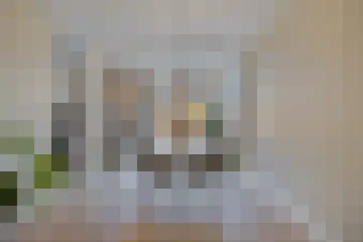 Bredalaan 106 Eindhoven thumbnail 10