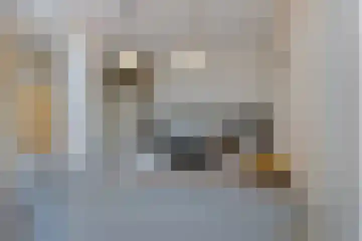 Bredalaan 106 Eindhoven thumbnail 16