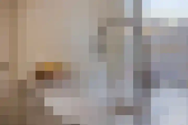 Bredalaan 106 Eindhoven thumbnail 20