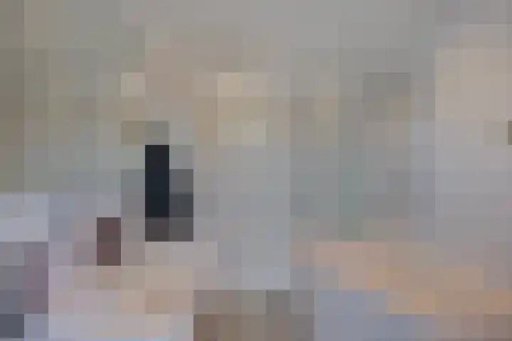 Bredalaan 106 Eindhoven thumbnail 26