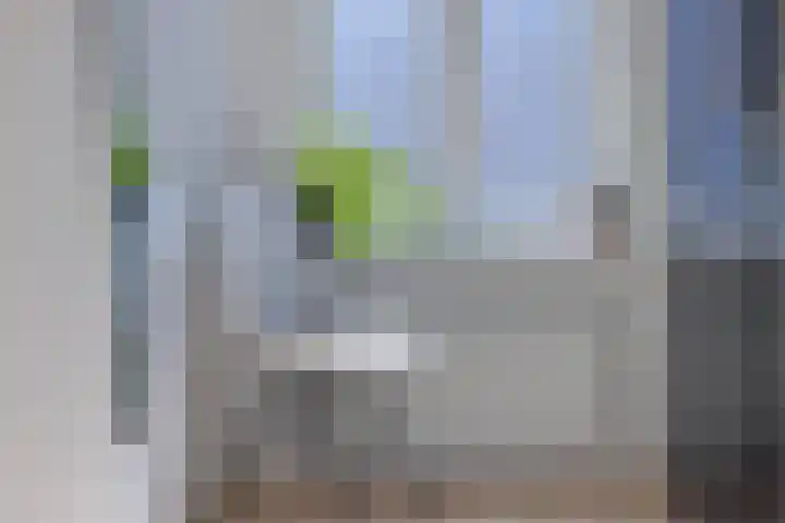 Bredalaan 106 Eindhoven thumbnail 32
