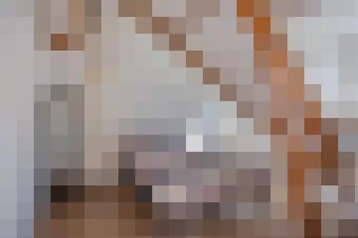 Bredalaan 106 Eindhoven thumbnail 35