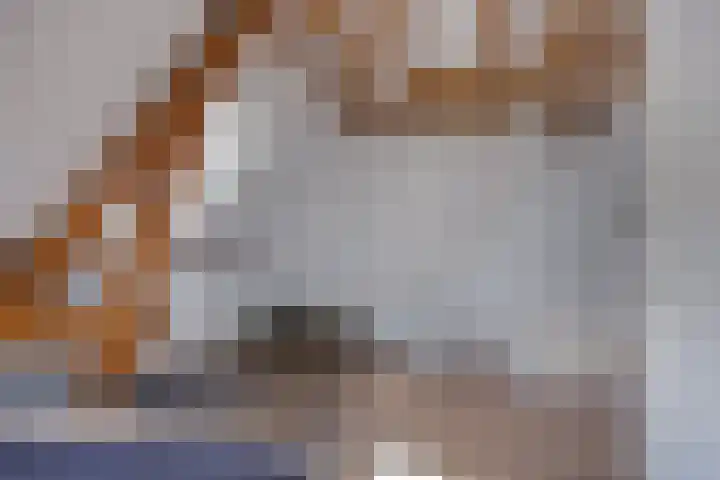 Bredalaan 106 Eindhoven thumbnail 36