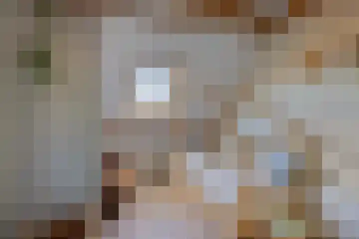 Bredalaan 106 Eindhoven thumbnail 37
