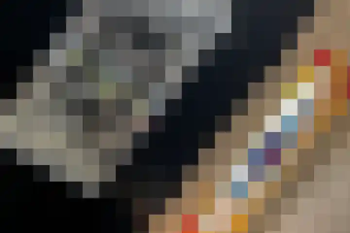 Bredalaan 106 Eindhoven thumbnail 48