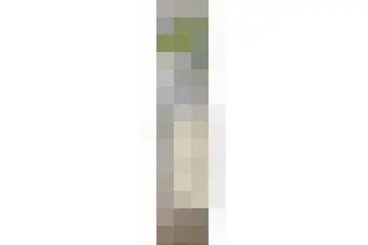 Bredalaan 106 Eindhoven thumbnail 54