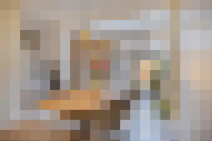 Bredalaan 106 Eindhoven thumbnail 6
