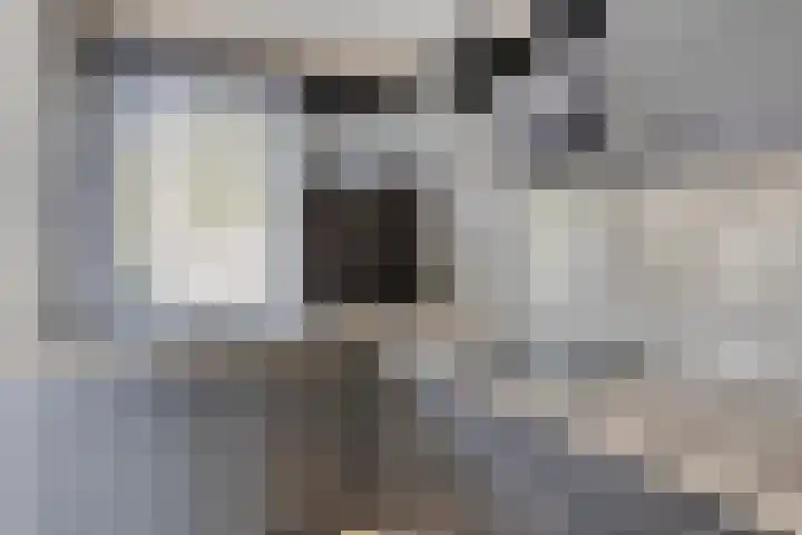 Bredalaan 157 A Eindhoven thumbnail 14