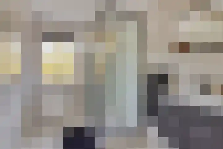 Bredalaan 157 A Eindhoven thumbnail 18
