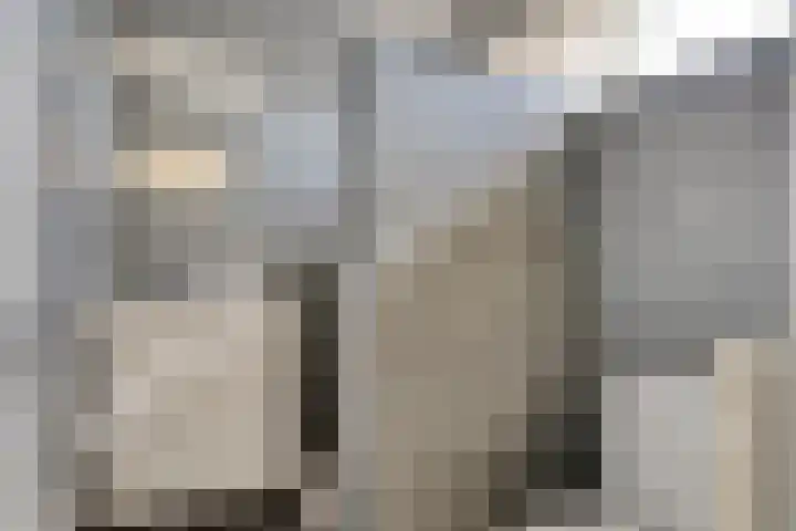 Bredalaan 157 A Eindhoven thumbnail 22