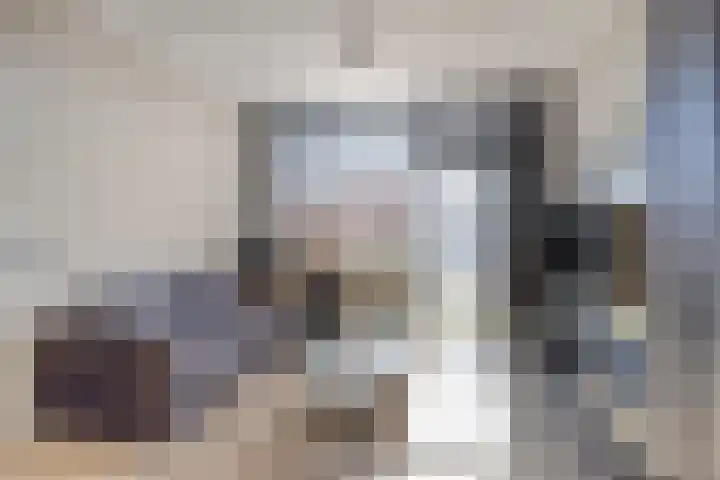 Bredalaan 157 A Eindhoven thumbnail 8