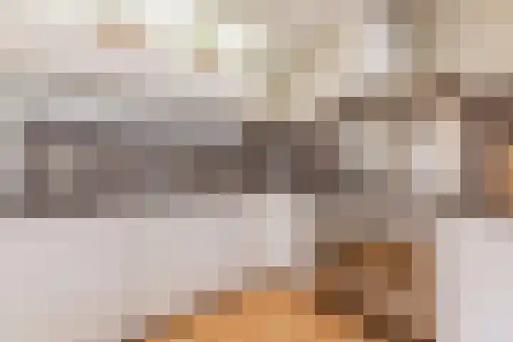 Bredalaan 36 Eindhoven thumbnail 13