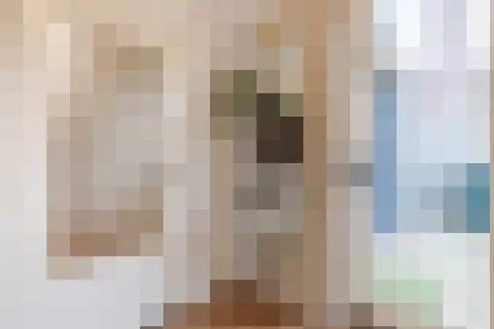 Bredalaan 36 Eindhoven thumbnail 17