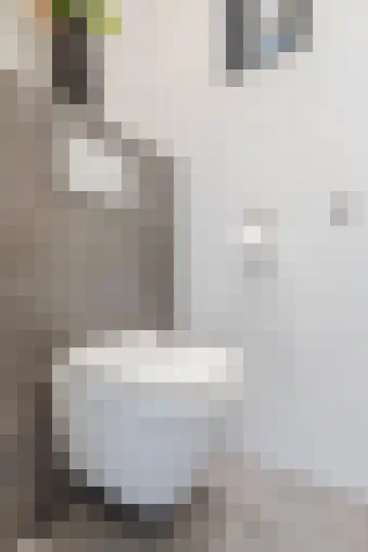Bredalaan 36 Eindhoven thumbnail 19