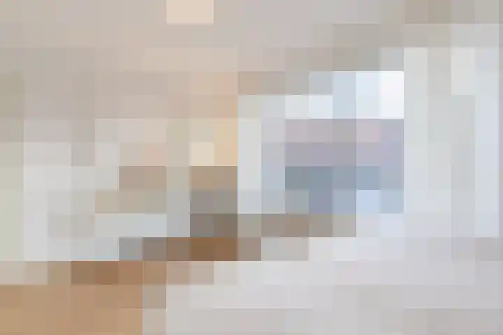 Bredalaan 36 Eindhoven thumbnail 33