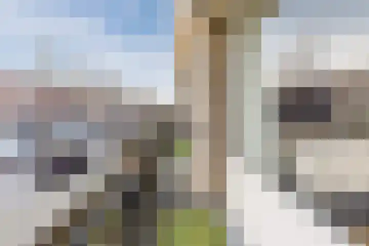 Bredalaan 36 Eindhoven thumbnail 34
