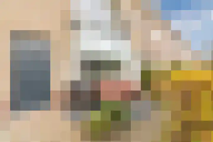 Bredalaan 36 Eindhoven thumbnail 7