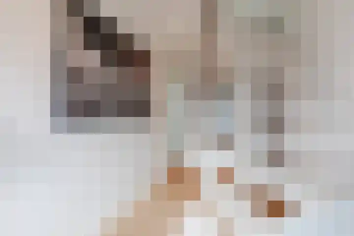 Bredalaan 36 Eindhoven thumbnail 8