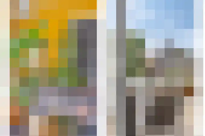 Bredalaan 55 Eindhoven thumbnail 13