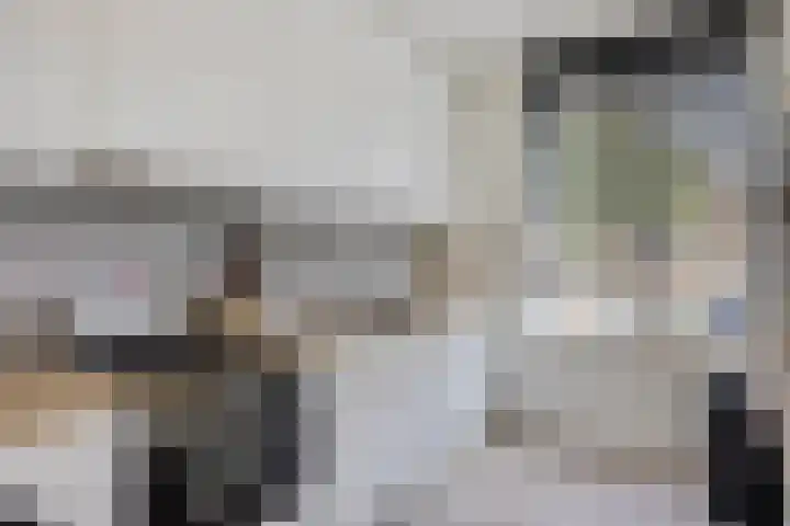 Bredalaan 55 Eindhoven thumbnail 14