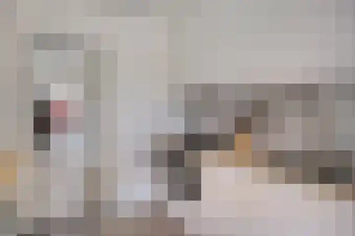 Bredalaan 55 Eindhoven thumbnail 15