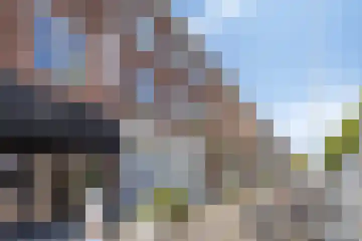 Bredalaan 55 Eindhoven thumbnail 31