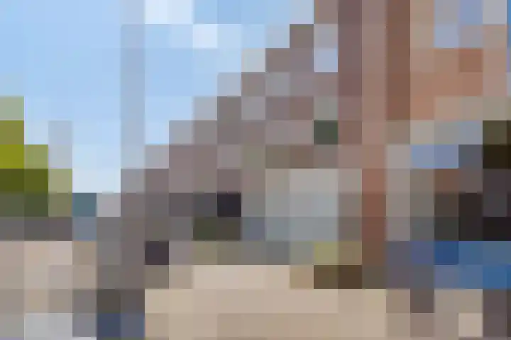 Bredalaan 55 Eindhoven thumbnail 32