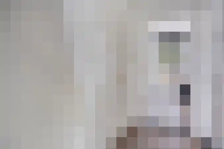 Bredalaan 55 Eindhoven thumbnail 7