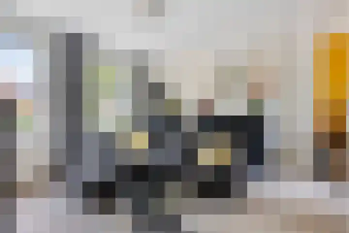 Bredalaan 55 Eindhoven thumbnail 8