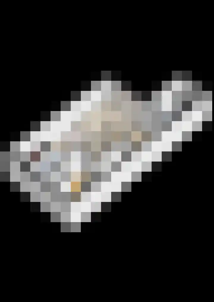 Bredam 13 Kruiningen thumbnail 40