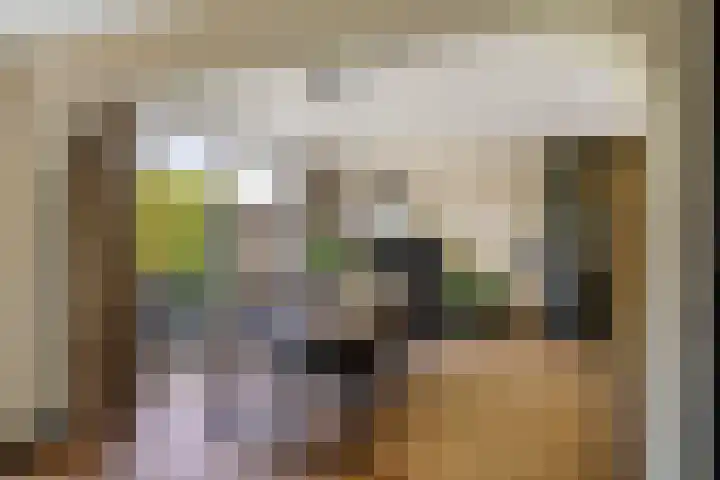 Bredaseweg 1 Rijsbergen thumbnail 12