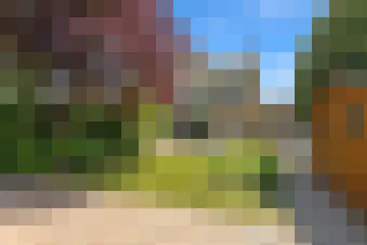 Bredaseweg 1 Rijsbergen thumbnail 25
