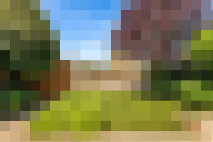 Bredaseweg 1 Rijsbergen thumbnail 28