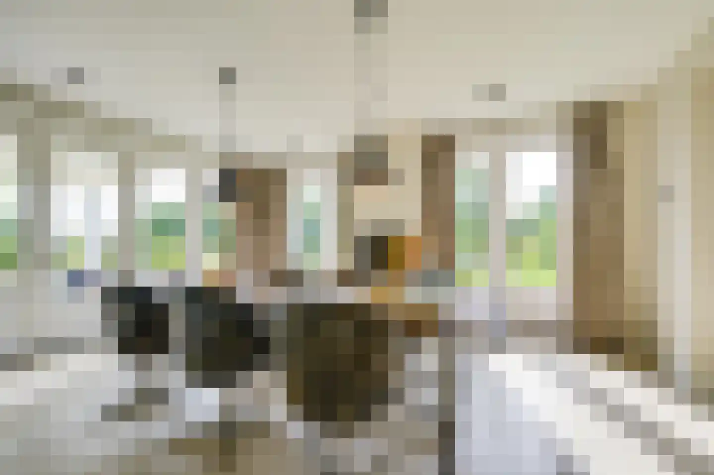 Bredaseweg 24 Zundert thumbnail 20