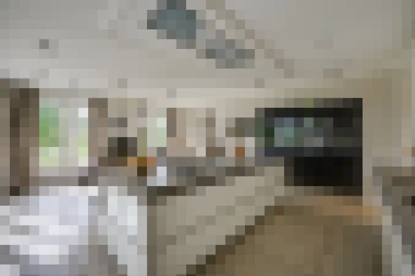Bredaseweg 24 Zundert thumbnail 22