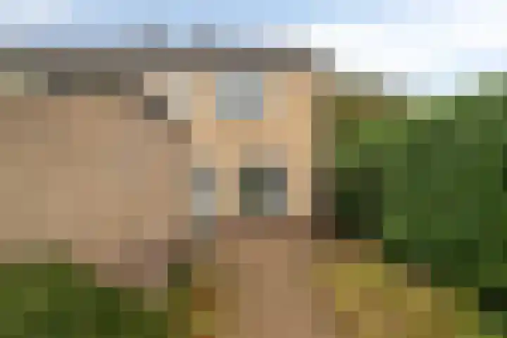 Bredaseweg 24 Zundert thumbnail 49