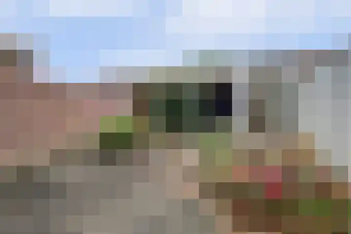 Bredaseweg 24 Zundert thumbnail 5