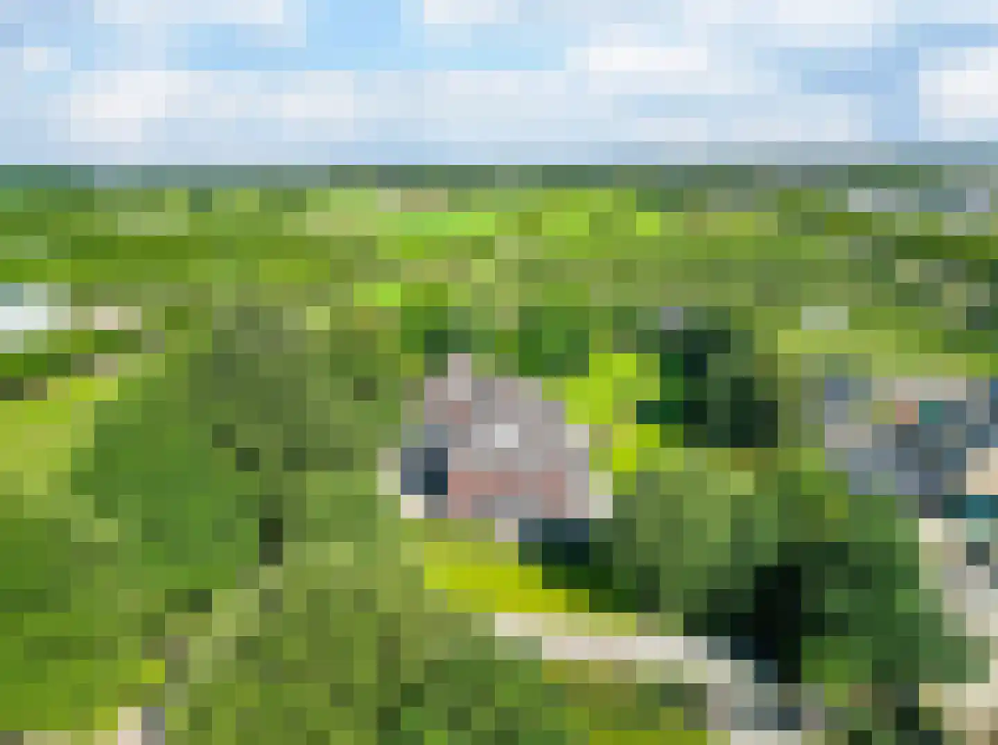 Bredaseweg 24 Zundert thumbnail 61